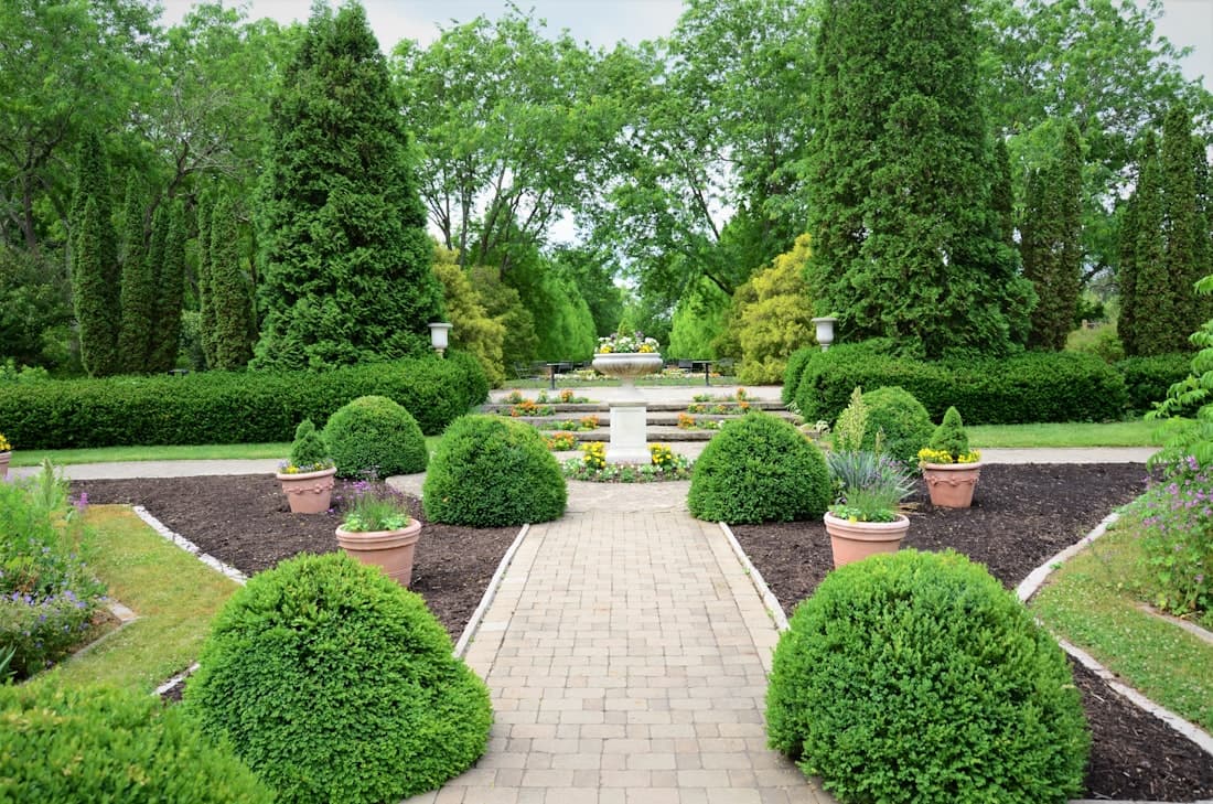 Vivero Torres 2